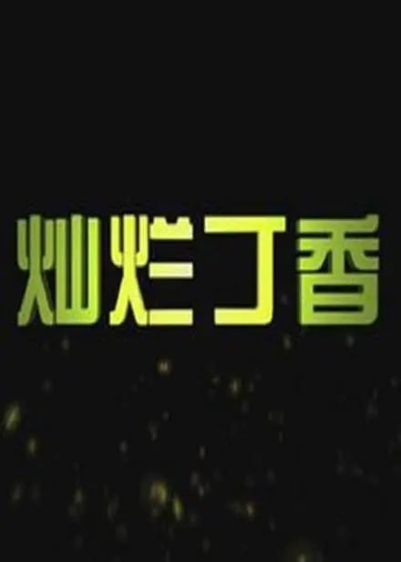 灿烂丁香 2011(2011)海报