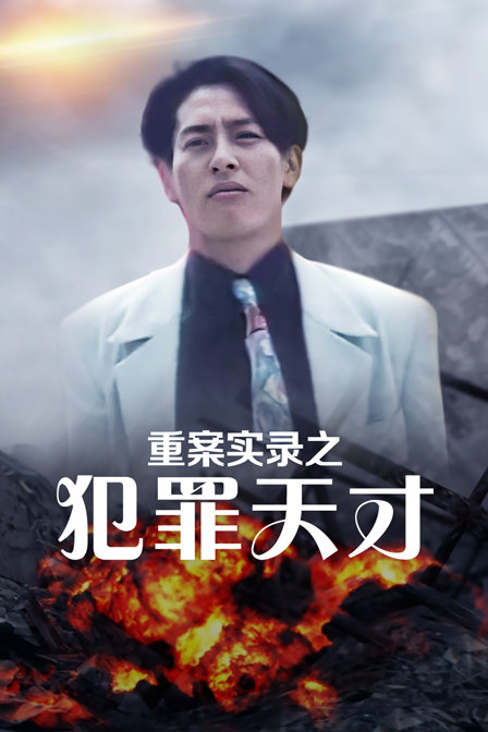 重案实录之犯罪天才(2013)海报