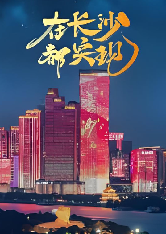 在长沙都实现(2025)海报