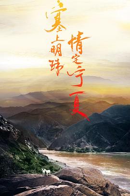 宁夏故事(2018)海报
