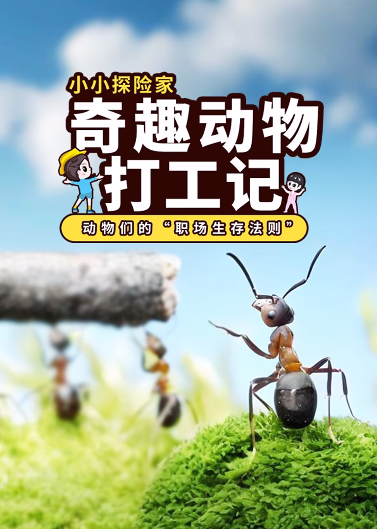 小小探险家:奇趣动物打工记海报