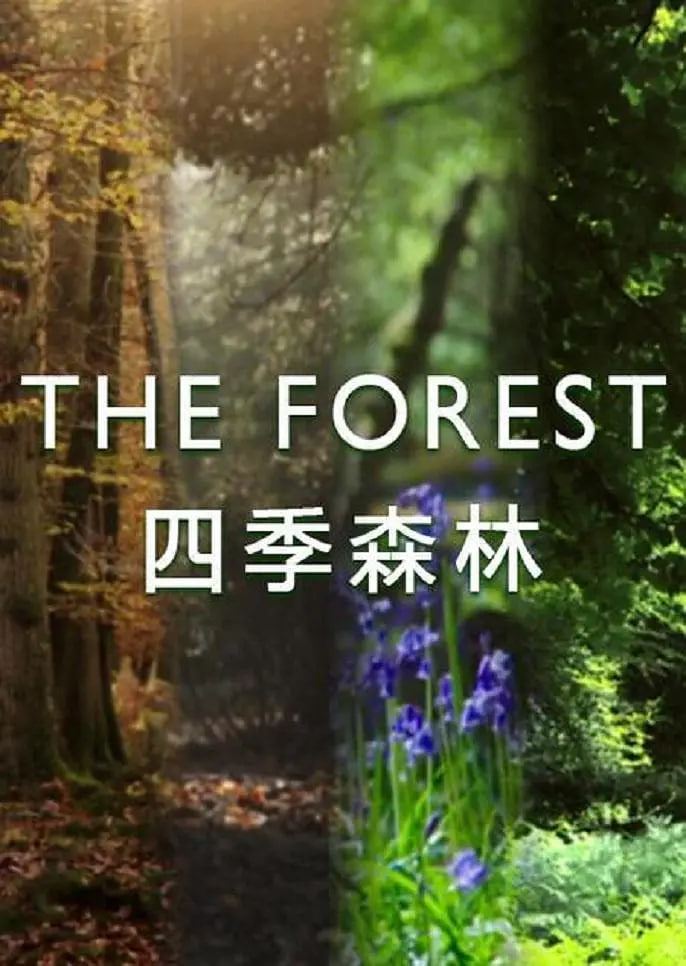 四季森林 第一季(2018)海報