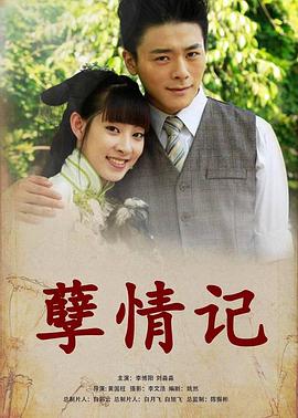 孽情记(2012)海报