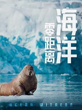 海洋零距離(2020)海報