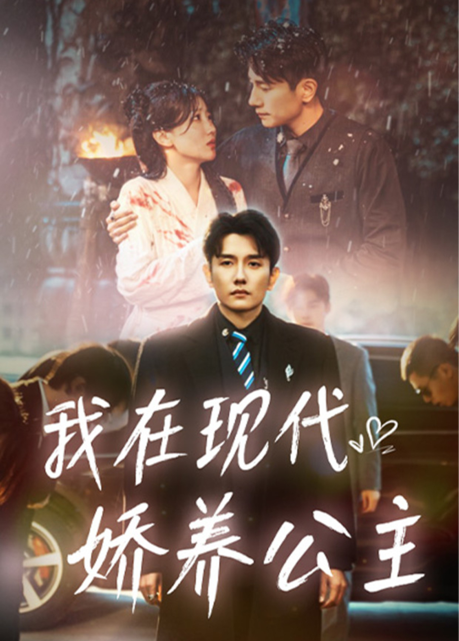 我在现代娇养公主海报