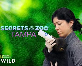 動物園秘辛:坦帕灣第四季(2020)海報
