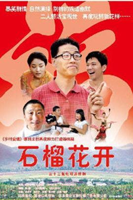 石榴花开(2007)海报