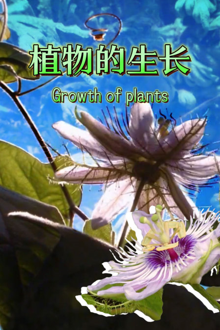 植物的生長(2025)海報