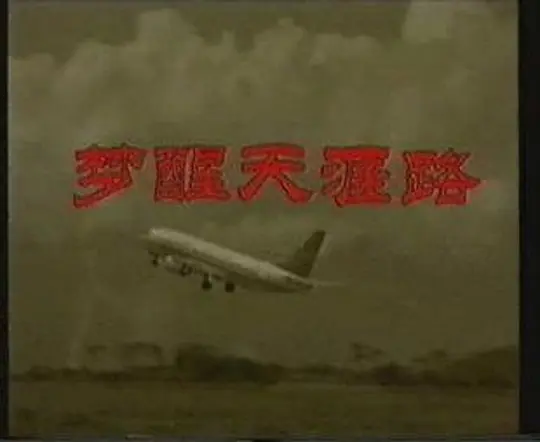 夢醒天涯路(1995)海報