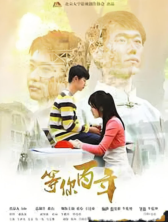 等你百年(2014)海报