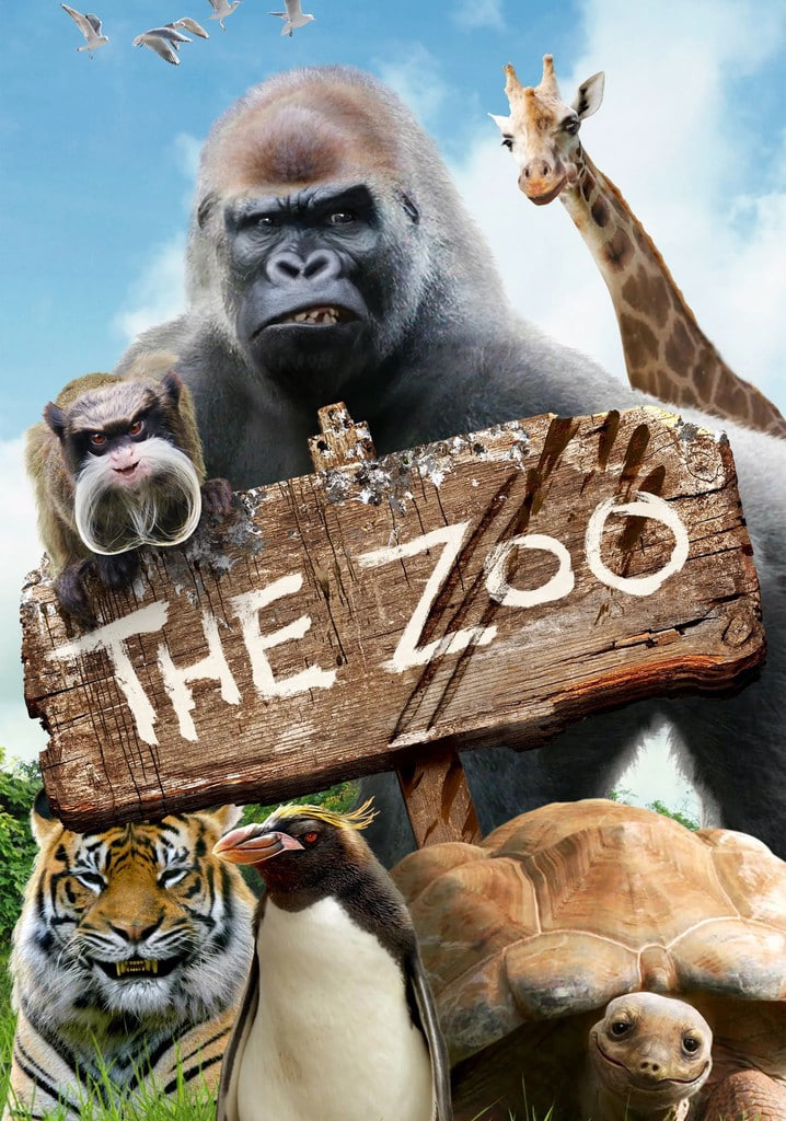 動物園 第九季(2019)海報