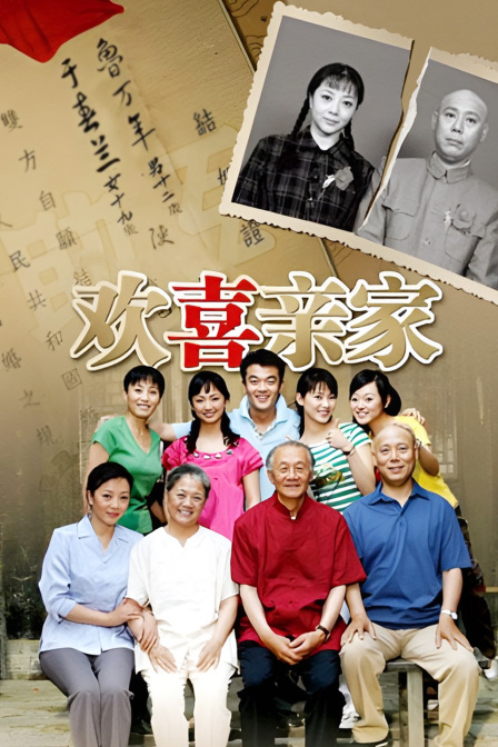 歡喜親家(2009)海報