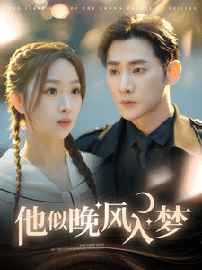 他似晚风入梦(2025)海报