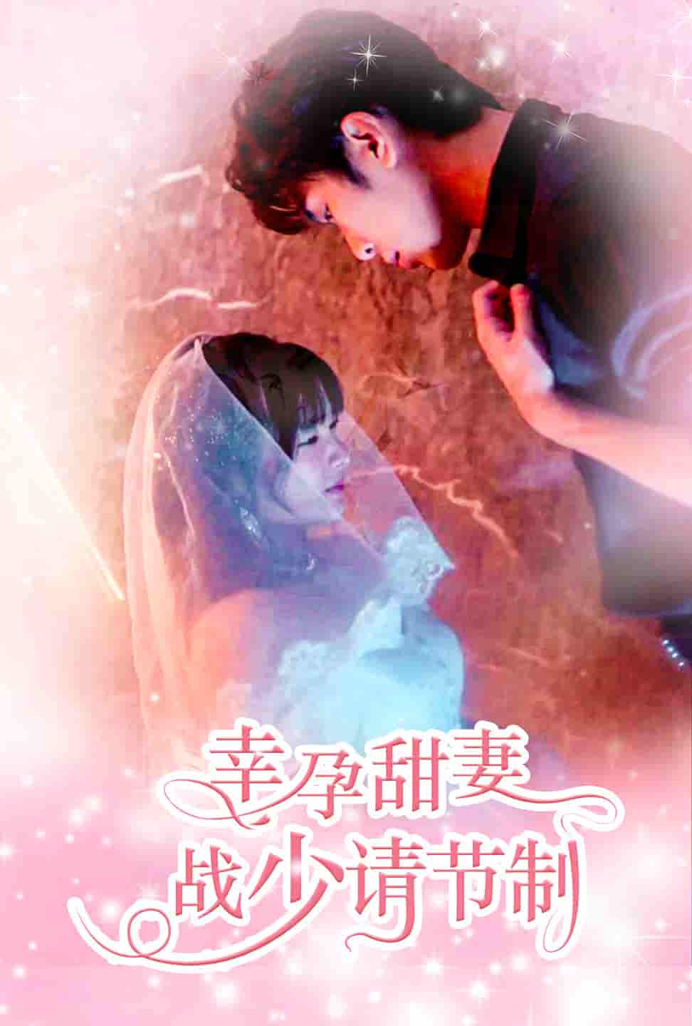 幸孕甜妻战少请节制(2024)海报