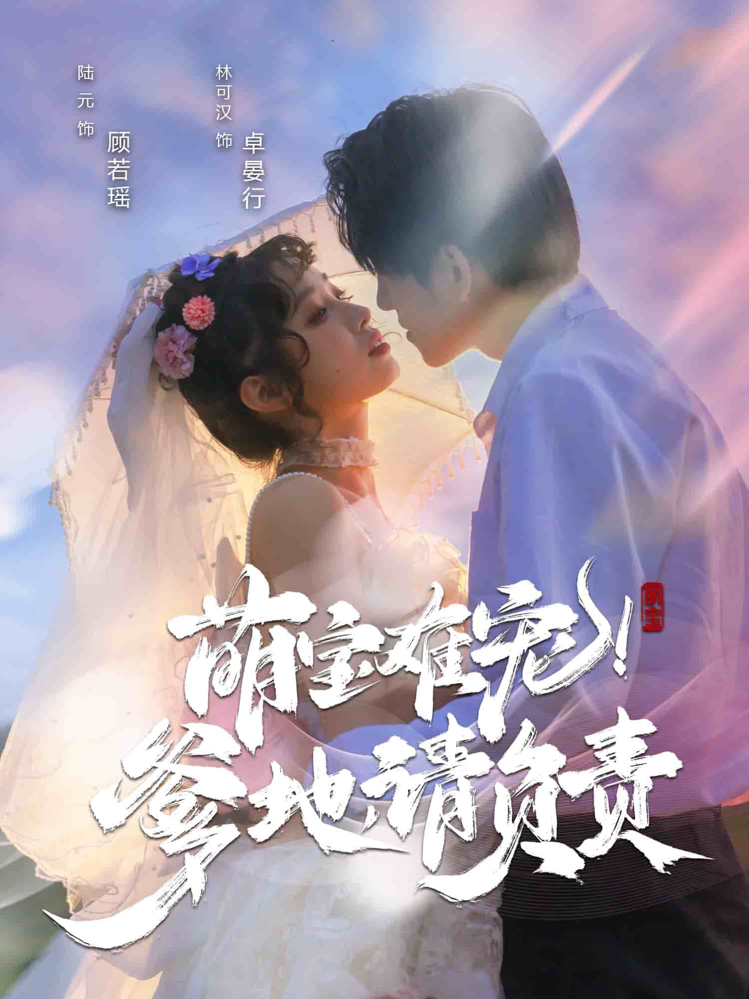 萌宝难宠!爹地请负责(2025)海报