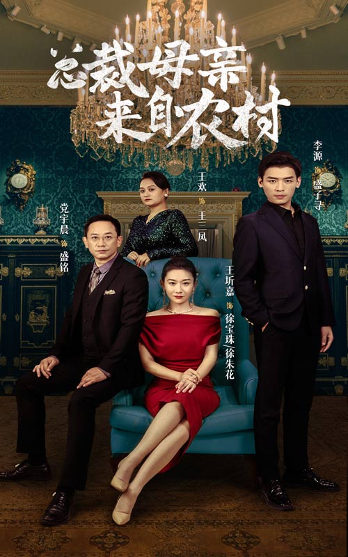总裁母亲来自农村(2024)海报
