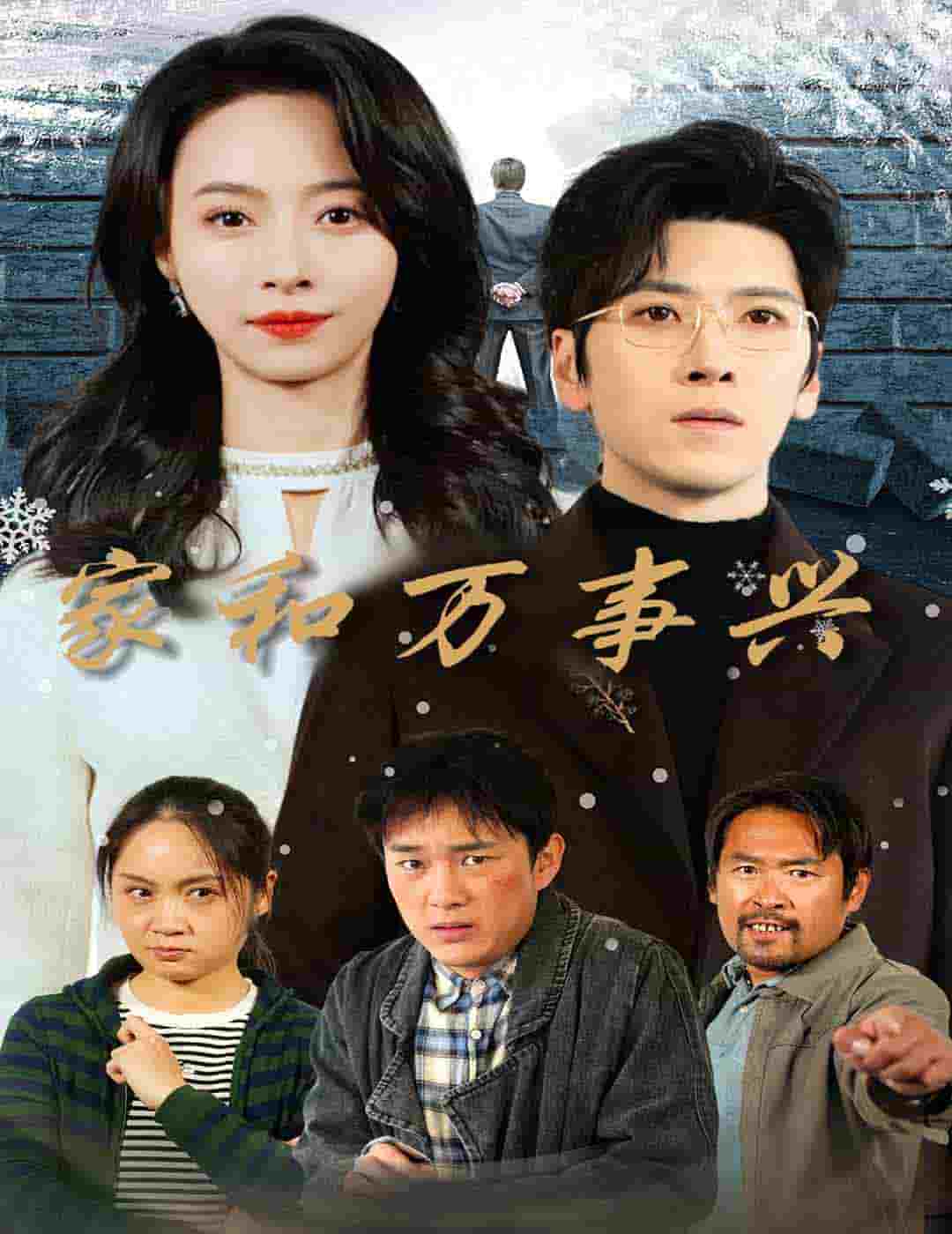 家和萬事興 短劇版(2024)海報