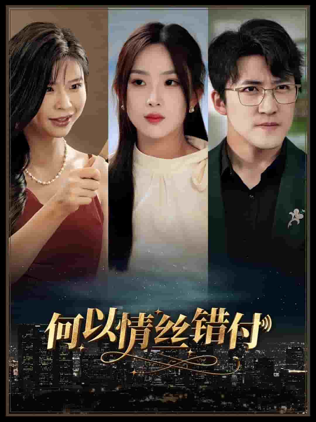 何以青絲錯付(2024)海報