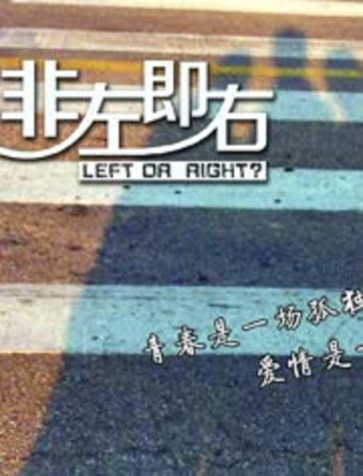 非左即右(2014)海报
