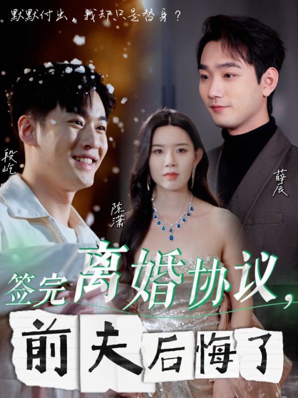 簽完離婚協議前夫後悔了(2024)海報