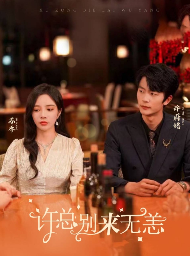 许总别来无恙(2024)海报