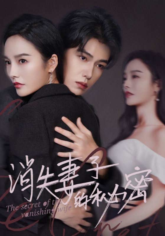 消失妻子的秘密(2025)海报