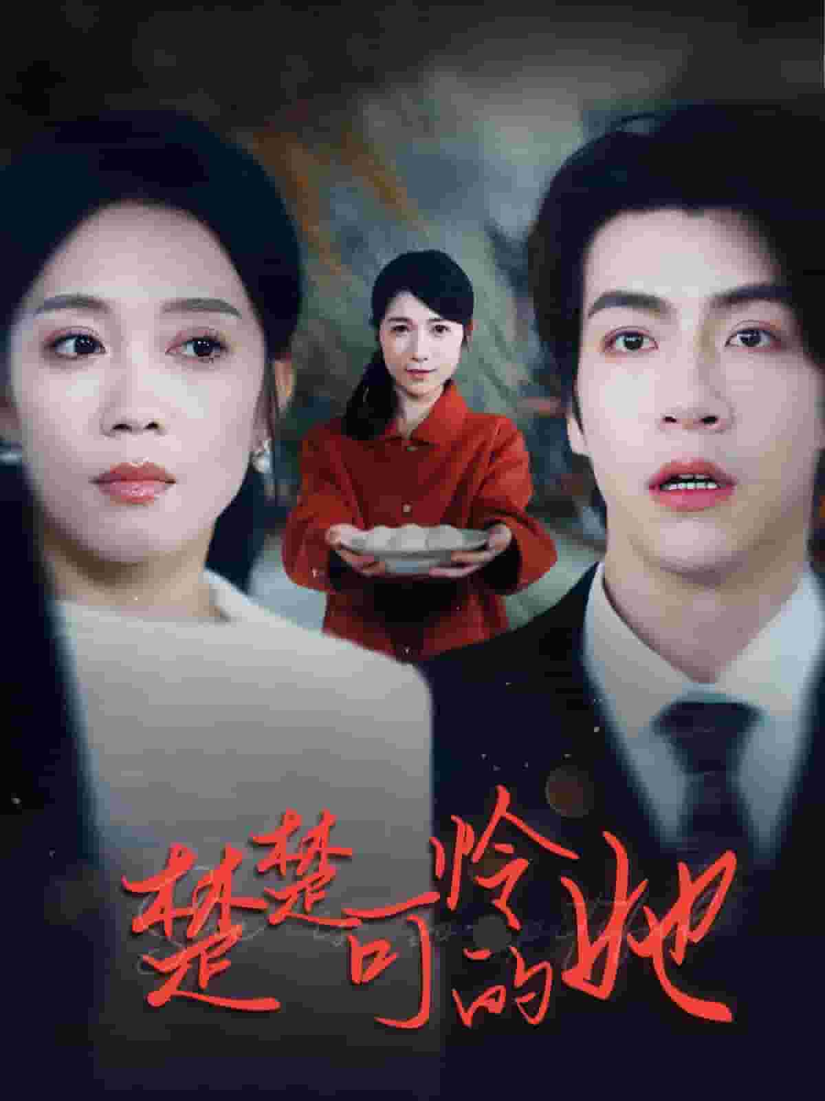 楚楚可憐的她(2025)海報
