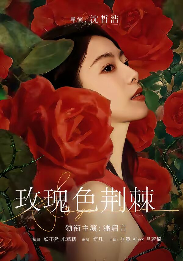 玫瑰色荆棘(2026)海报