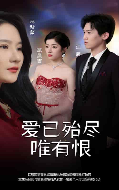 爱已殆尽唯有恨(2025)海报