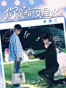 你是暗夜星火(2024)海報