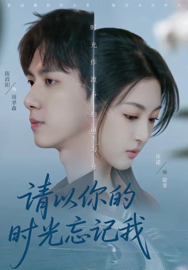 请以你的时光忘记我(2026)海报