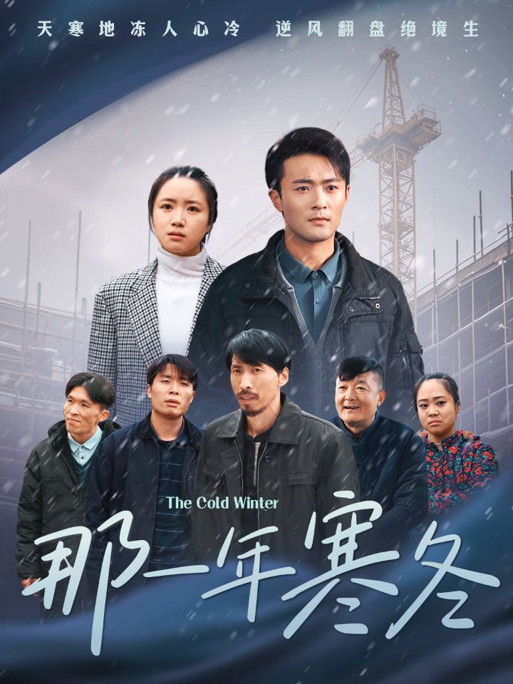 那一年寒冬(2025)海报