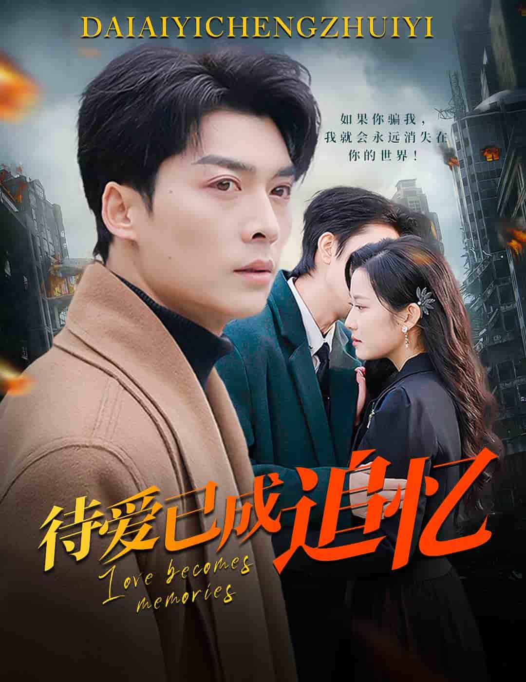 待爱已成追忆(2025)海报