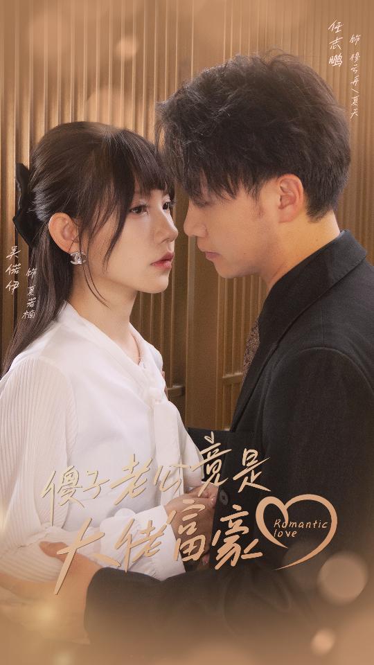 傻子老公竟是大佬富豪(2024)海报