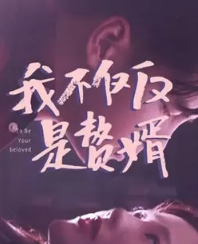 我不僅僅是贅婿(2023)海報