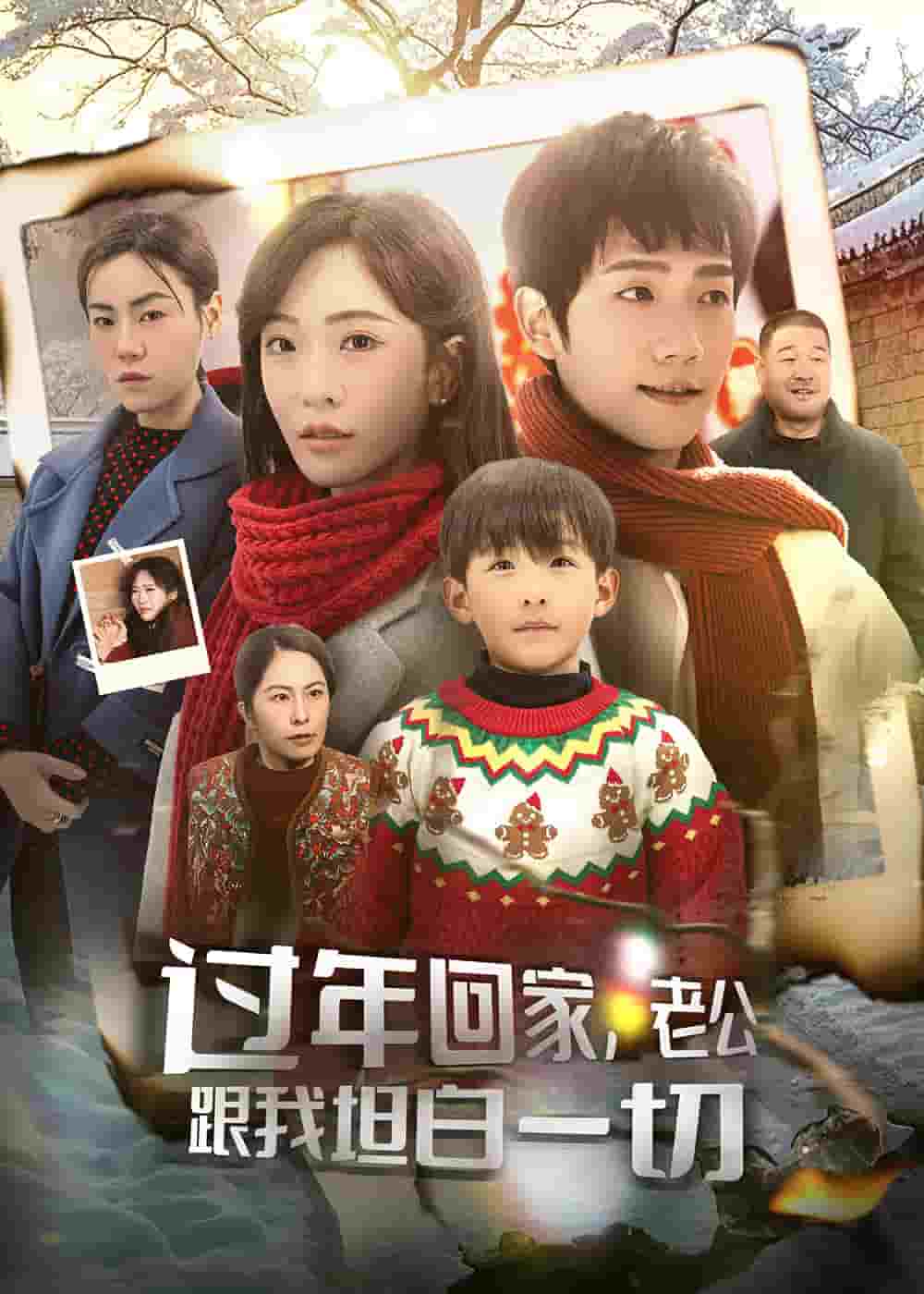 過年回家,老公跟我坦白一切(2025)海報