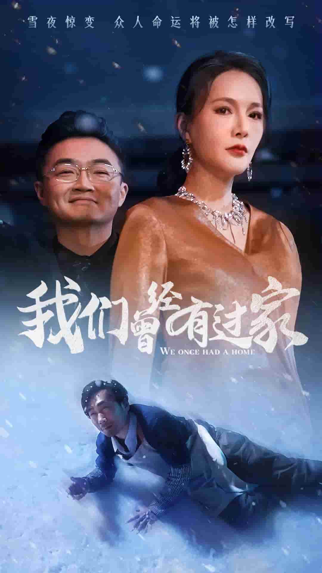 我们曾经有过家(2025)海报