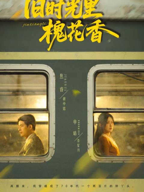 旧时光里槐花香(2026)海报