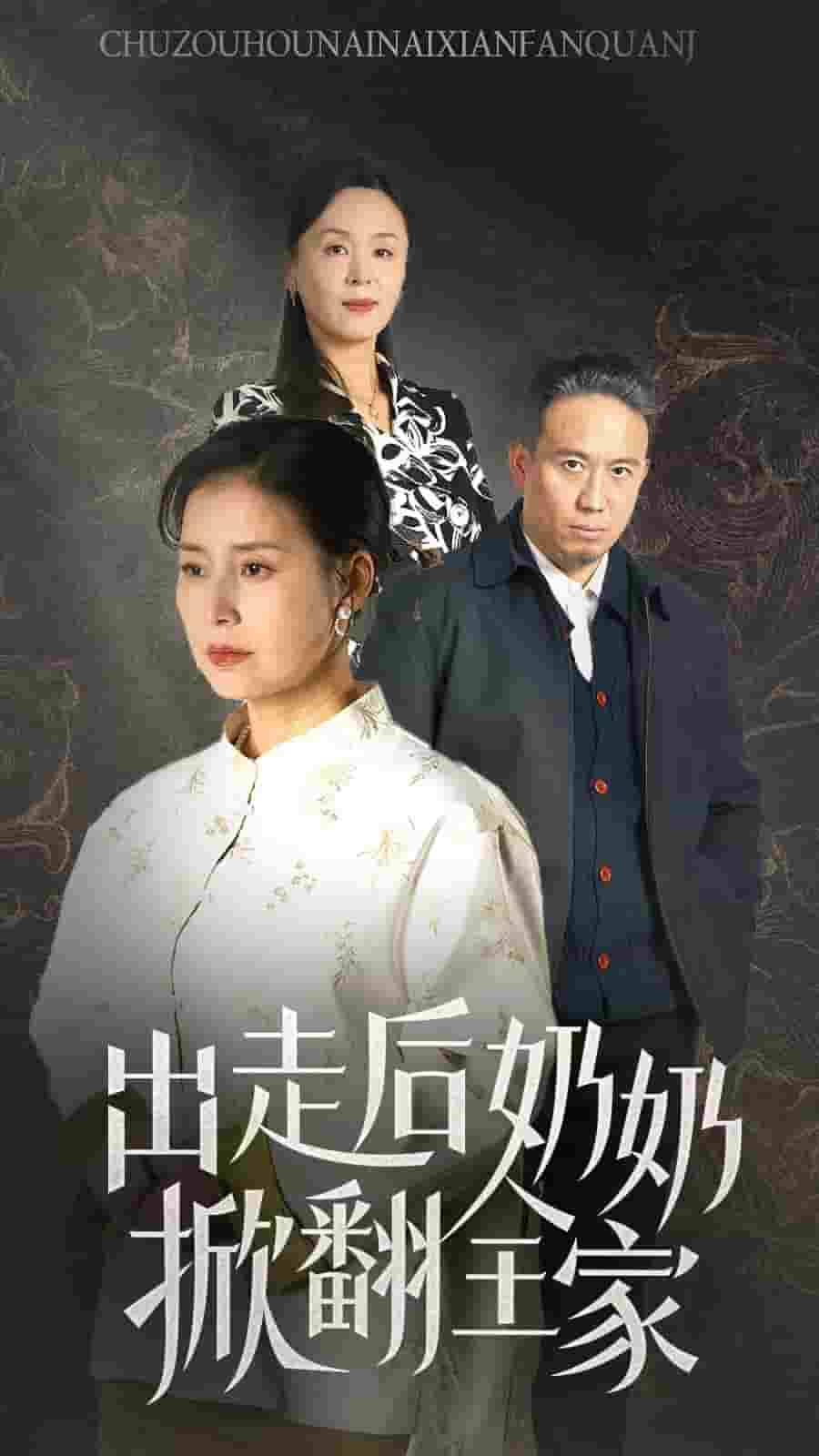 出走後奶奶掀翻全家(2025)海報