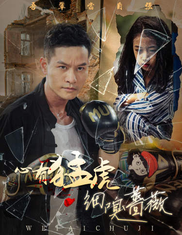 心有猛虎细嗅蔷薇(2024)海报