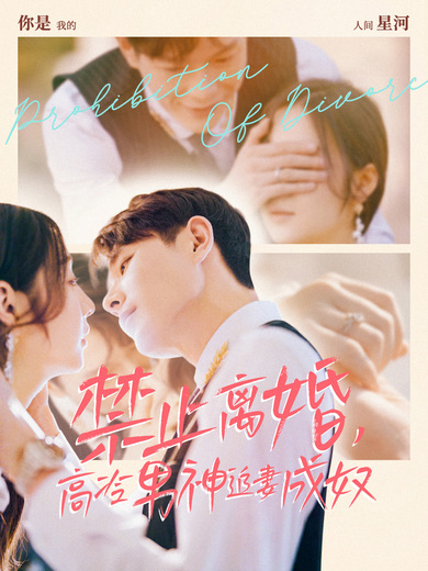禁止離婚,高冷男神追妻成奴(2024)海報