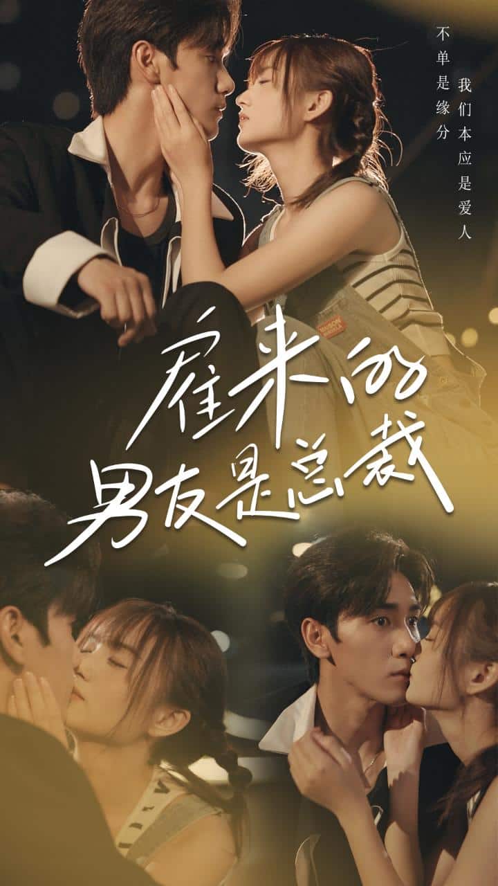 雇来的男友是总裁(2024)海报