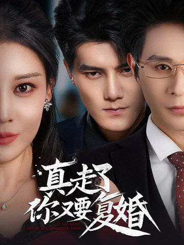 真走了你又要復婚(2025)海報