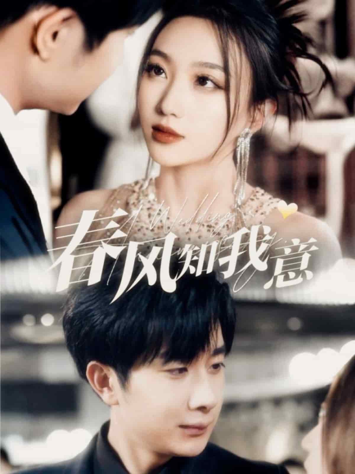 春风知我意(2025)海报