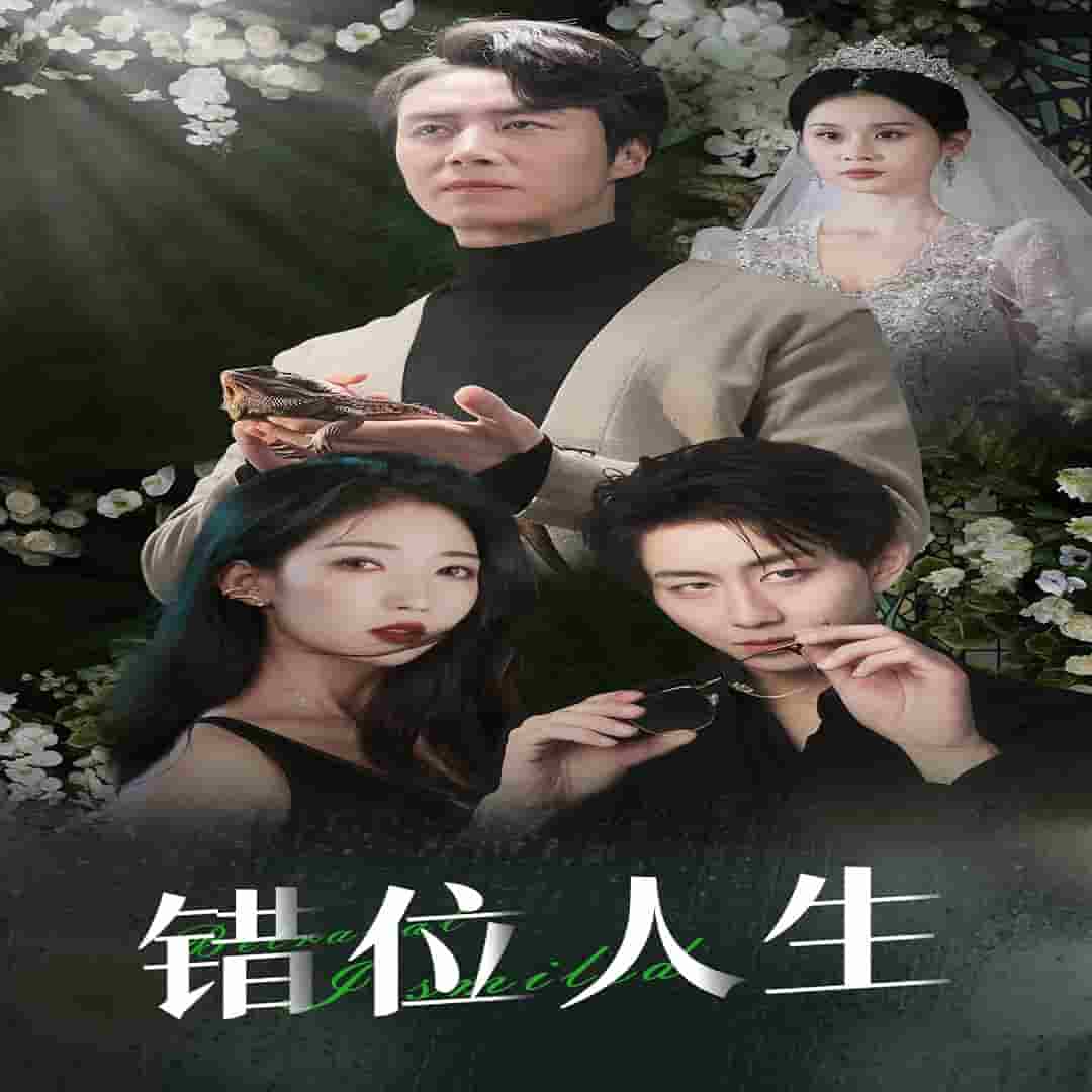 养大他人的儿子后我笑了(2025)海报