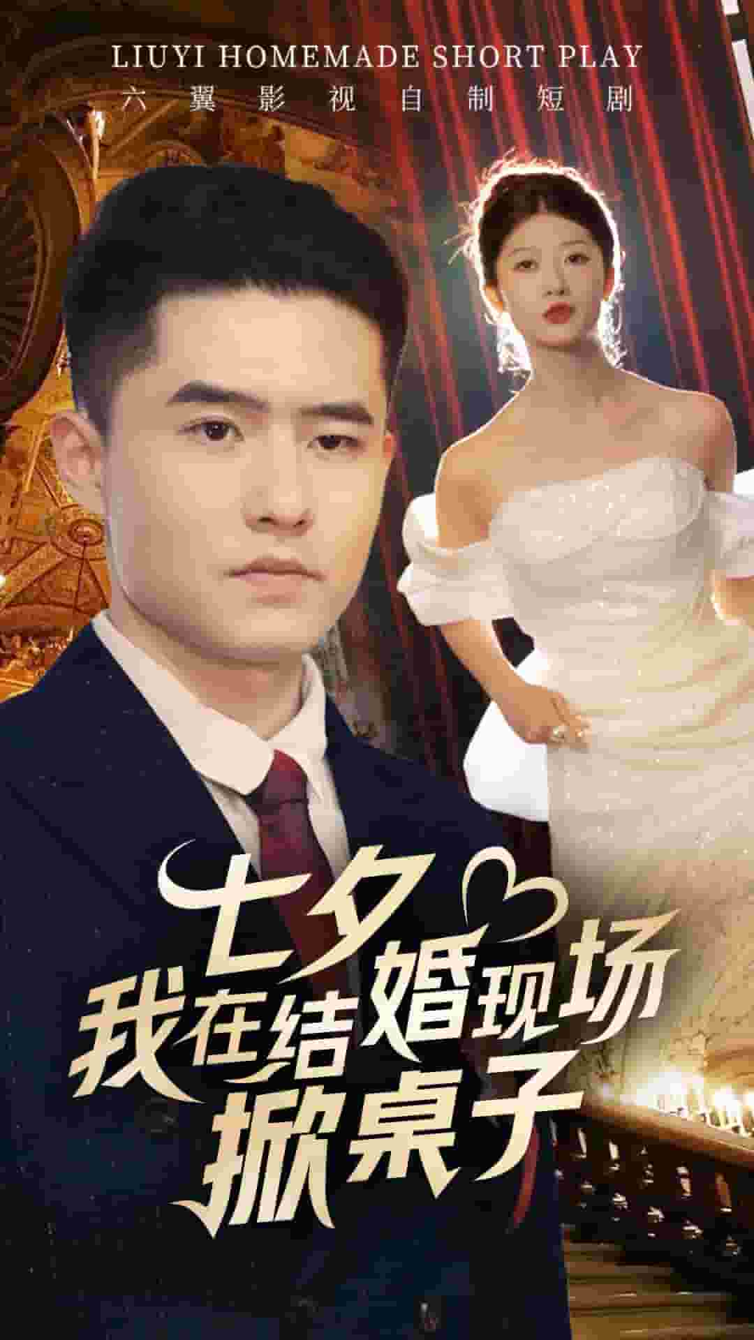七夕我在结婚现场掀桌子(2024)海报