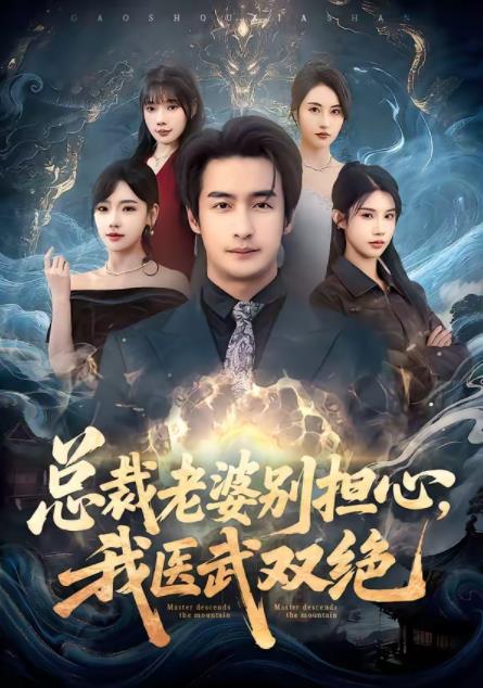 总裁老婆别担心,我医武双绝(2026)海报