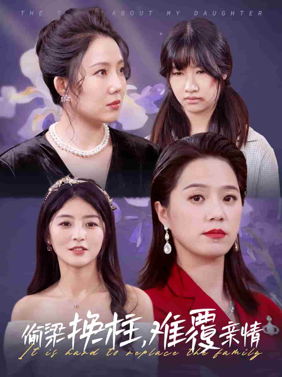 偷樑換柱難覆親情(2025)海報