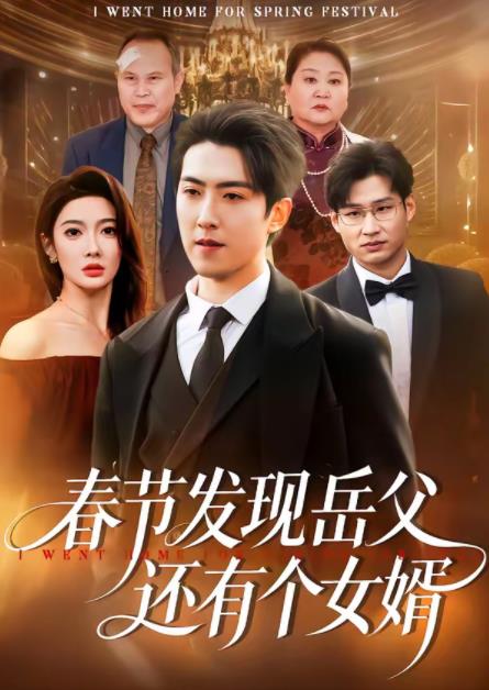 春節發現岳父還有個女婿(2026)海報