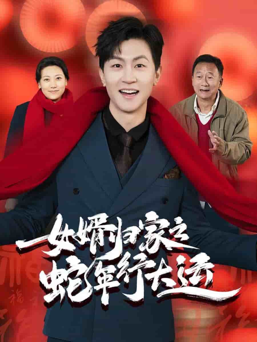 女婿歸家之蛇年行大運(2025)海報